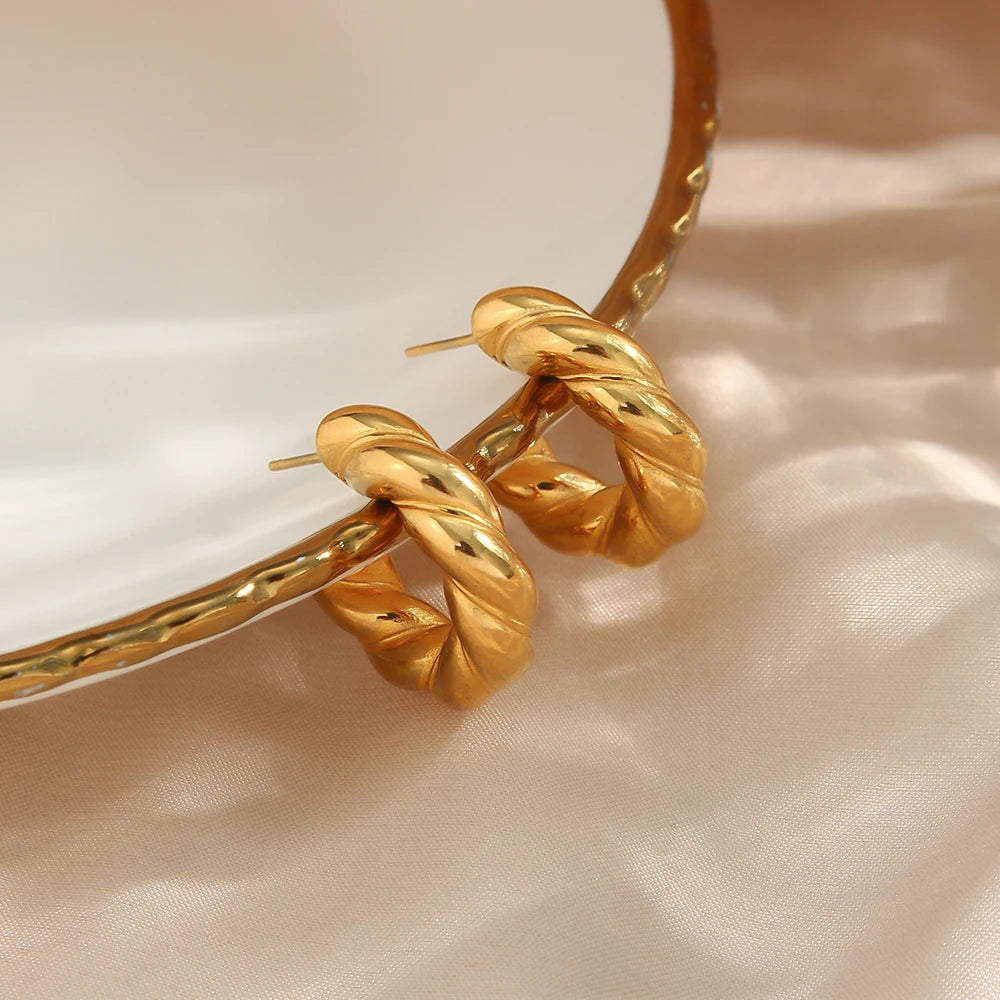 Diana Twisted Hoops