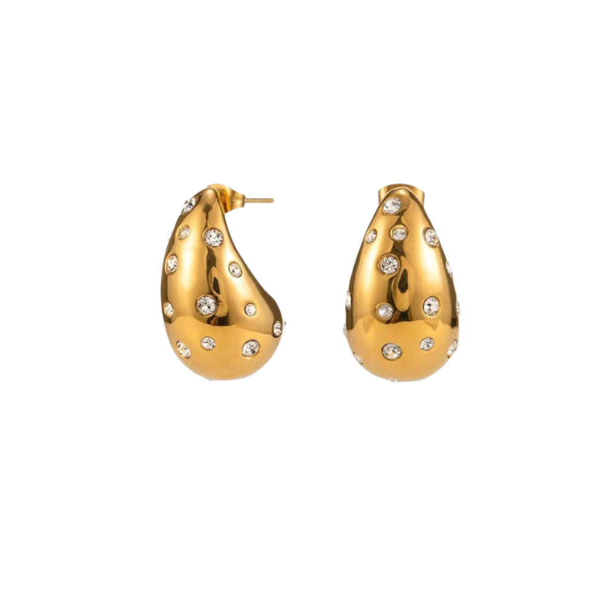 Celine Earrings